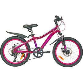 Велосипед 20 NAMELESS S2200DW, розовый / серый, 11